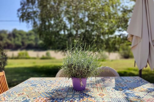 Plante de lavande sur table à motifs à la terrasse du jardin de la maison d'hôtes Domaine Bellavigne avec vue sur la campagne