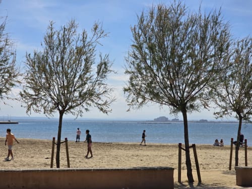 Sandy beach in Roses with palm trees, visitors enjoying the seaside, and blue Mediterranean waters near Sylvie Conciergerie