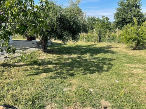 Terreni di campagna di Villa Maria a Roggiano Gravina con alberi maestosi, prato verdeggiante e recinzione rustica