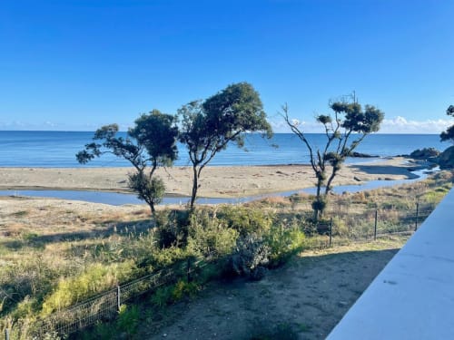 Coastal view from Marina di Bravone apartment with beach, sea, native trees and shallow lagoons near Linguizzetta, Corsica