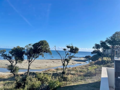 Marina di Bravone beachfront apartment view with sandy beach, twisted trees, and calm blue Mediterranean Sea in Linguizzetta,