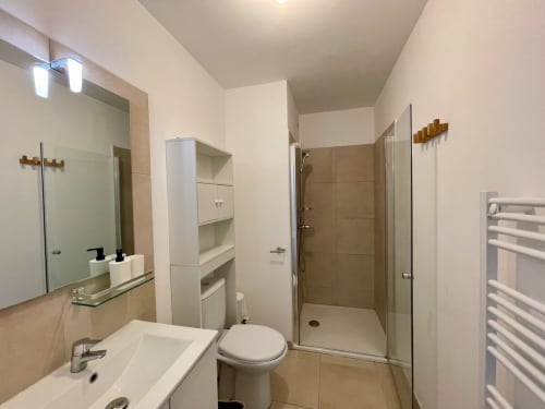 Modern bathroom at Résidence Marina di Bravone with shower, toilet, and vanity sink in Linguizzetta