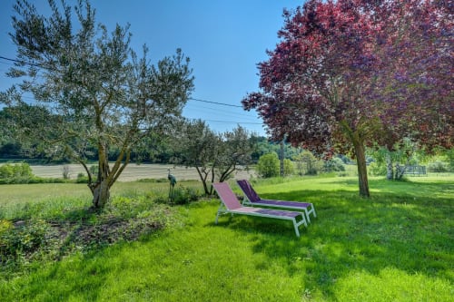 Deux chaises longues violettes sur pelouse verte avec oliviers et arbre aux feuilles rouges au Domaine Bellavigne à Forcalquier