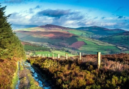 Rolling green hills and mountains in Wicklow, Ireland with a stream, forest, and valley landscape view from Madeline's