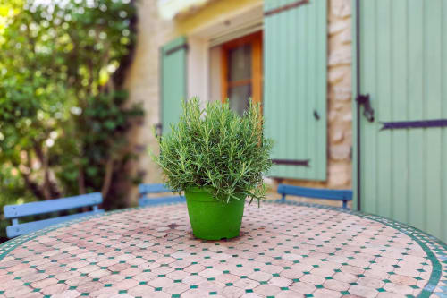 Plant de romarin en pot sur la terrasse motifs du Domaine Bellavigne Gîtes à Forcalquier