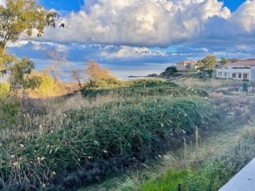 Vue côtière de la Résidence Marina di Bravone à Linguizzetta avec mer, végétation et bâtiments blancs sous ciel bleu
