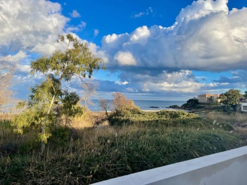 Vue sur la mer depuis la Résidence Marina di Bravone à Linguizzetta avec plage, arbres et ciel méditerranéen nuageux