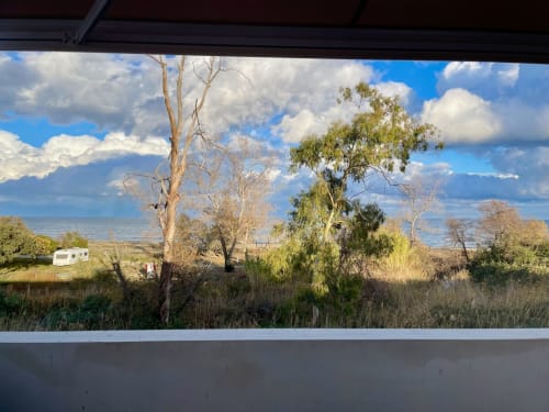 Vue côtière pittoresque de l'appartement Marina di Bravone avec arbres nus, végétation verdoyante et paysage marin lointain sous ciel bleu
