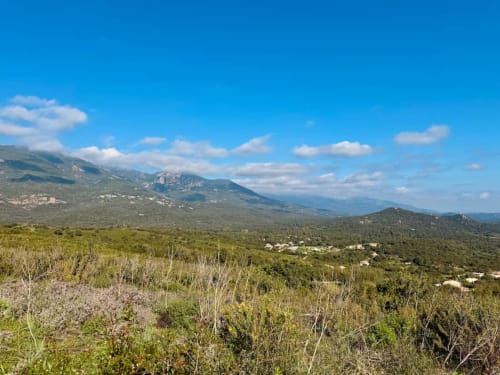 Paysage montagneux près de Porto-Vecchio avec collines verdoyantes et pics lointains sous un ciel bleu