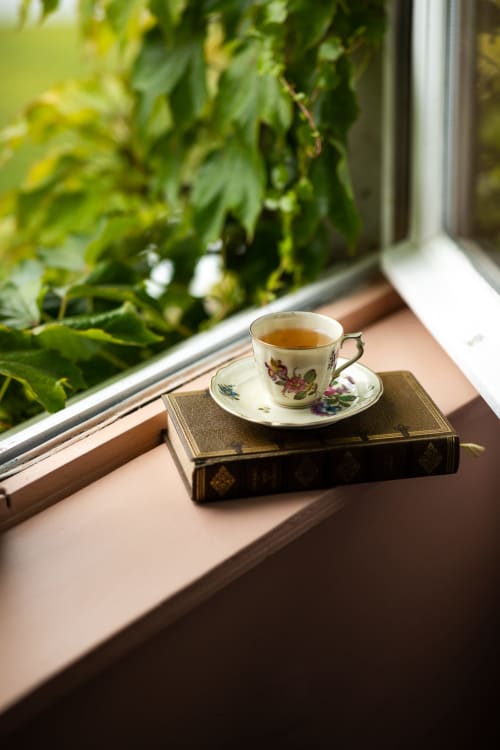 Tasse de thé à décor floral sur un livre ancien près de la fenêtre, entourée de verdure au Moulin Moulin B&B, Dannes