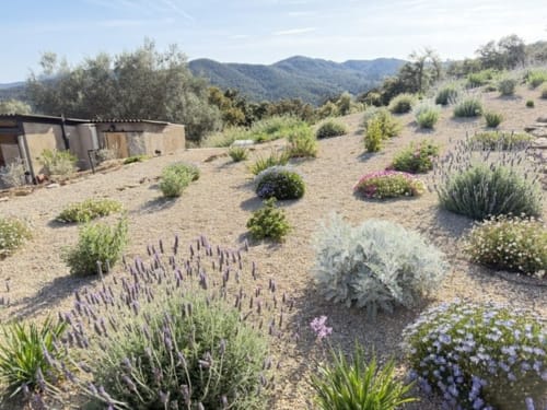 Jardí mediterrani de Mimosa Lodge amb lavanda, plantes resistents a la sequera i vistes a les muntanyes a Montnegre, Espanya