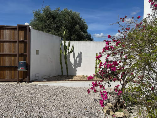 Patio de Slowvejer à Vejer de la Frontera avec murs blancs, porte en bois, bougainvilliers roses et cactus