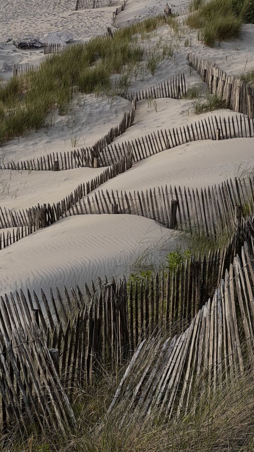 Dunes de sable avec clôtures en bois et oyats à la Moulin Moulin B&B à Dannes, France