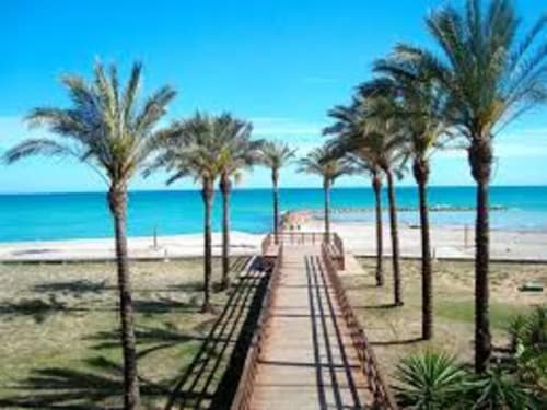 Paseo de madera bordeado de palmeras que conduce a la playa virgen de Casa María en Artana, España