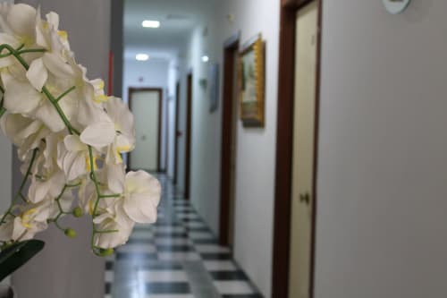 Flores de orquídea blanca en el pasillo del Hostal El Camionero, Burguillos del Cerro con cuadros enmarcados y puertas