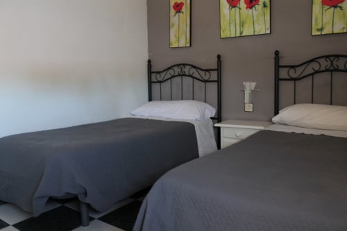 Dormitorio doble del Hostal El Camionero en Burguillos del Cerro con camas de hierro y arte floral en las paredes