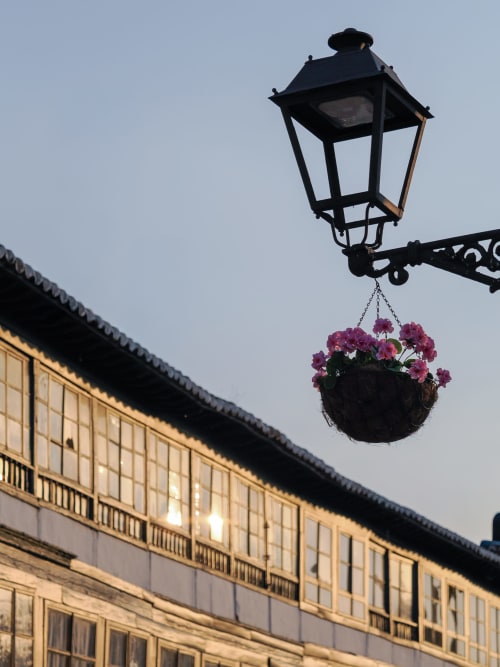 Black street lamp with hanging pink flowers above historic building at Retiro del Teatro in Almagro, Ciudad Real