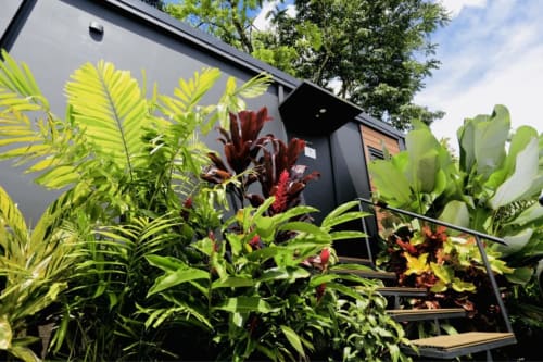 Entrada del hotel boutique Contenedores con plantas tropicales y flores rojas, Costa Rica