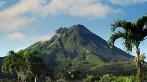 Volcán Arenal con laderas exuberantes y palmeras tropicales, Costa Rica