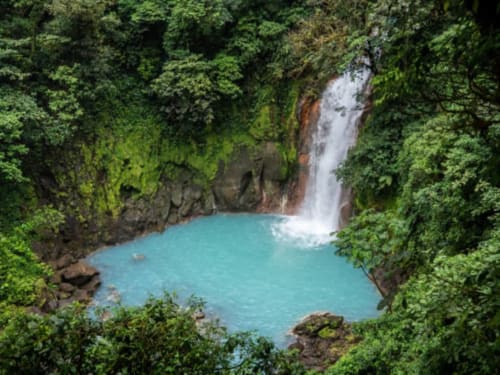 Piscina natural de aguas turquesas rodeada de exuberante vegetación selvática en retiro ecoturístico de Costa Rica