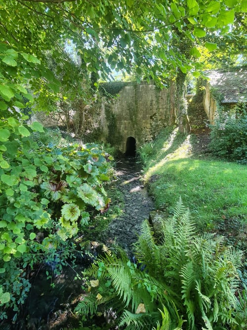 Overgrown stone ruins with lush green vegetation and ivy at Domaine Des Forges De La Vache in Raveau