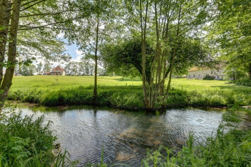 Serene pond and meadow at Domaine Des Forges De La Vache, a French cottage B&B in Raveau with lush green fields and
