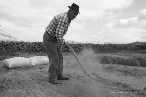Hombre barriendo el terreno desértico del Hotel Rural El Cabo en Villaverde, España durante labores de hostelería rural