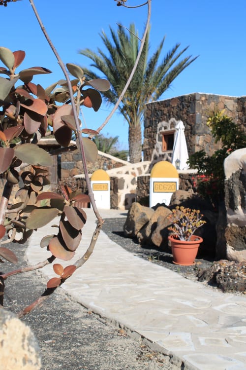 Patio de hotel rural en Villaverde con arquitectura de piedra, palmera y plantas suculentas bajo cielo azul