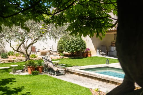 Le Jardin Secret guesthouse backyard with pool, olive tree, and lush garden in Grignan, France