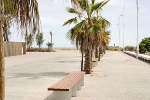 Passeio à beira-mar em RB Algarve Vilamoura com palmeiras, bancos de madeira e veleiros na costa portuguesa.
