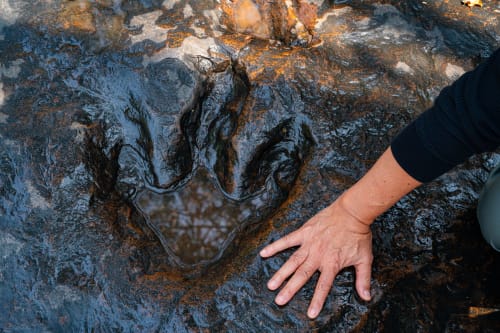 Mano junto a huella fósil de pata de animal en roca del hotel Rustikalpuente