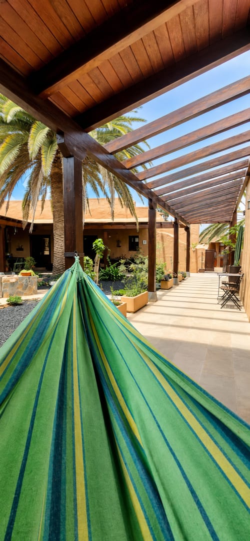 Hamac rayé vert sous pergola en bois couverte dominant un jardin-cour des Canaries avec palmiers chez Sara & Gino