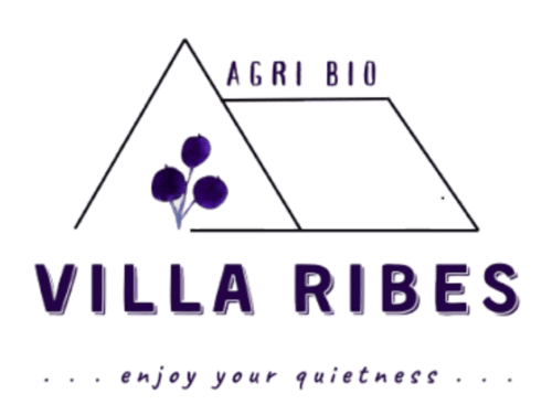 Logo AgriBio Villa Ribes con frutti di bosco, B&B biologico ad Altamura, Italia