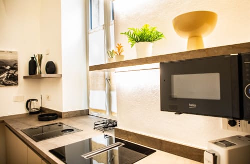 Nowoczesna kuchnia w apartamencie Sardegna Explora House z mikrofalą, kuchenką, zlewozmywakiem i zieloną rośliną