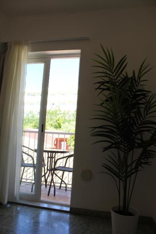 Vista luminosa de la terraza de la Villa Palmer con puertas de cristal, palmera en maceta y soleada zona exterior en Paguera