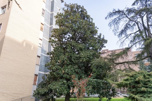 Vista del giardino dell'appartamento La Magnolia a Firenze con alberi maestosi e storici edifici che circondano uno spazio cortilizio verde