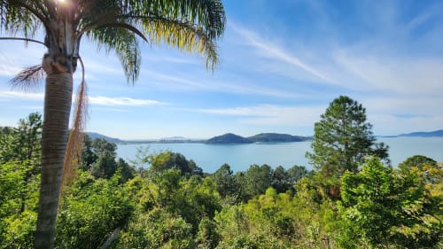 Vista tropical da baía do Hotel Philia em Florianópolis com palmeira, vegetação exuberante e águas turquesas