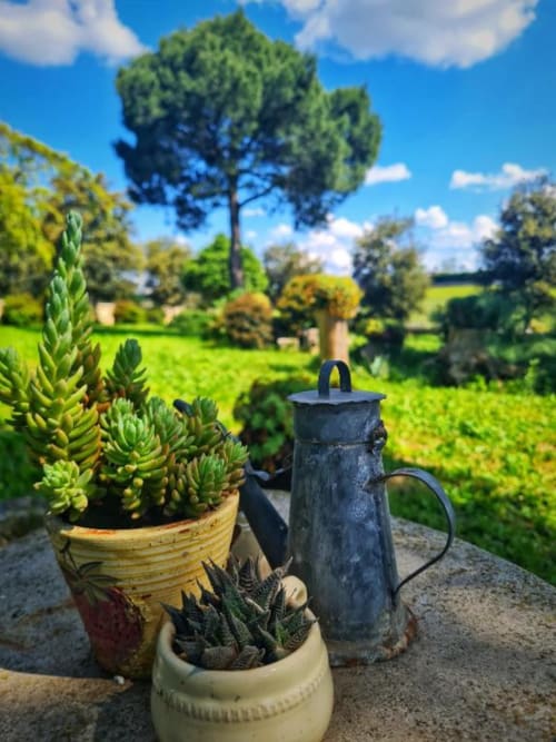 Piante grasse e annaffiatoio nel giardino di AgriBio Villa Ribes, Altamura, con vista sul paesaggio verdeggiante