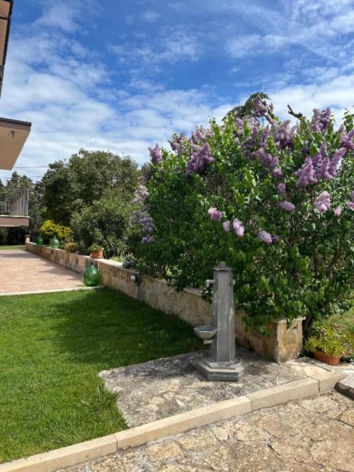 Terrazza giardino di Villa Ribes AgriBio ad Altamura con fiori di lillà viola in fiore e fontana in pietra