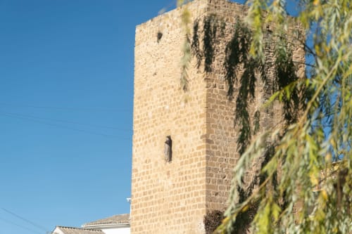 Torre de piedra antigua con hiedra en El Batán Hotel Spa, Castillo de Locubín, España