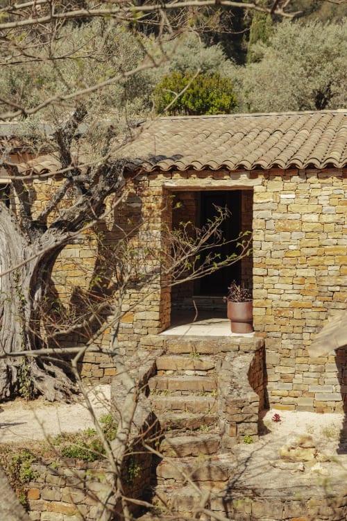 Stone cottage entrance at Mas Tihou B&B in Le Beausset with terracotta roof, wooden door, and olive tree in garden view