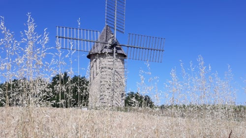 Ancien moulin entouré de champs de blé à la Maison d'hôtes Les Gravets à Sigalens, France