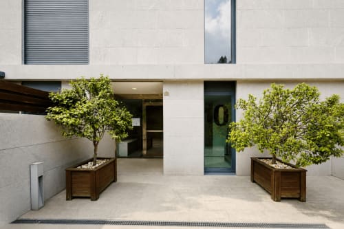 Entrada de apartamento moderno en Holibai Baiona con árboles en macetas, jardineras de madera y patio minimalista de diseño limpio