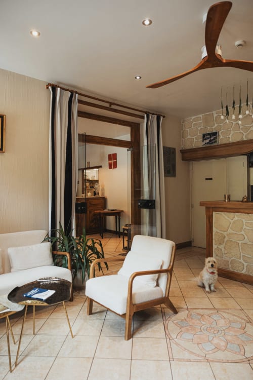 Savoy Hôtel Le Bourget-du-Lac : salon moderne avec poutres en bois, fauteuils blancs, cheminée en pierre et chien.