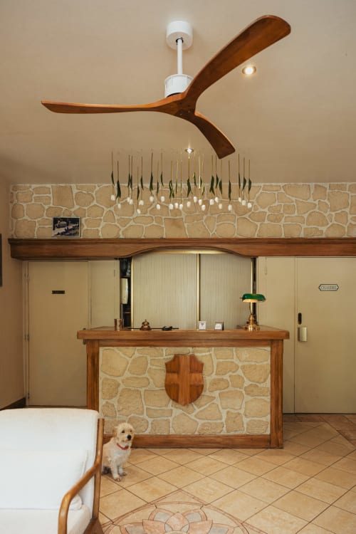 Chambre moderne du Savoy Hôtel avec ventilateur de plafond en bois, mur en pierre et réception à Le Bourget-du-Lac