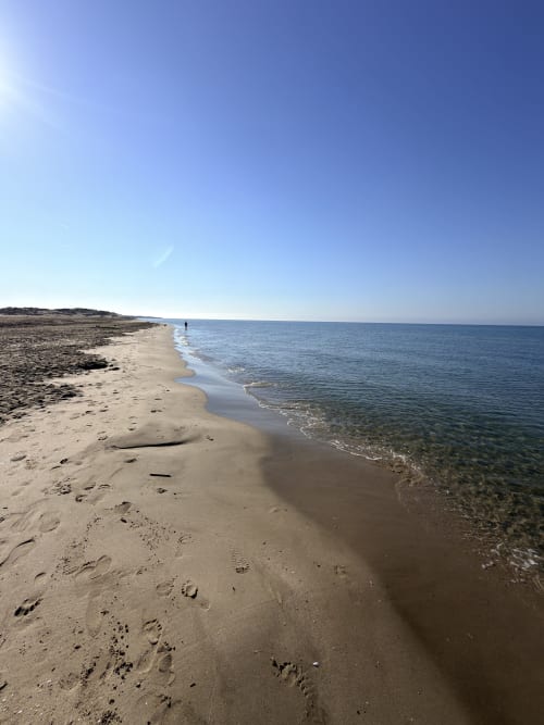 Scenic sandy beach with clear blue waters near Le Palmier Aigues-Mortes, France