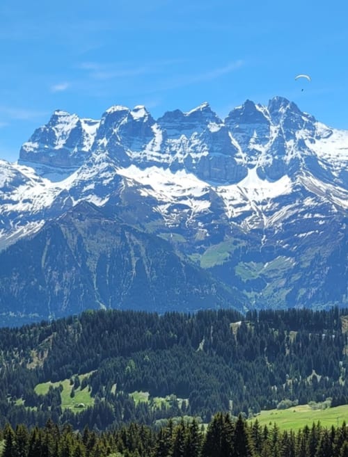 Montagnes alpines enneigées avec forêts de conifères et vallées verdoyantes près de l'Hôtel Les Triolets à Châtel