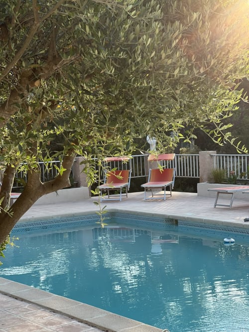 Piscine paisible du Mas Aurel de Provence à Peypin avec transats et oliviers au coucher de soleil