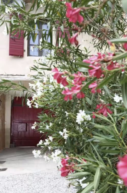 Fiori rosa e bianchi incorniciano l'ingresso della Casa Mia Vacanza B&B in Italia con porta e persiane bordeaux