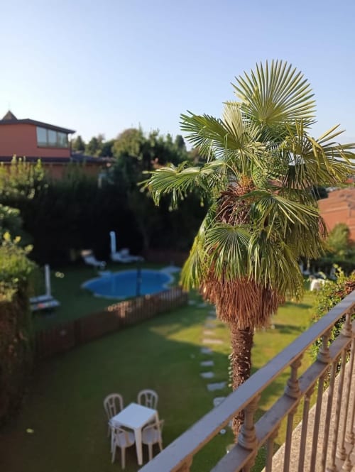 Vista di lusso dal giardino della camera Stella presso Mia Experience BnB a Monza, Italia, con palma e piscina